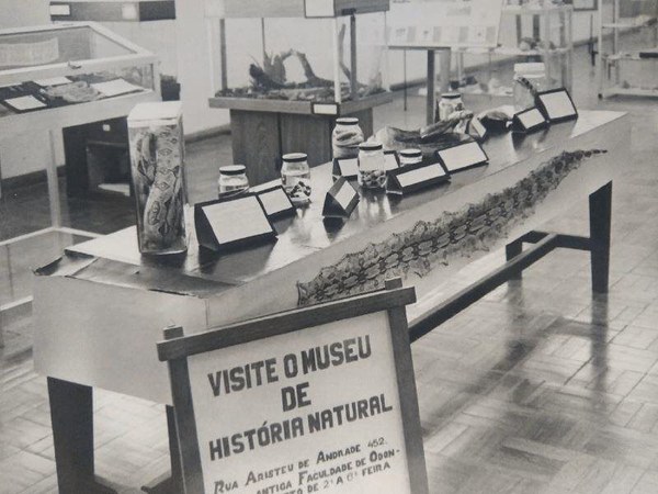 Registro do Museu de História Natural (1990)