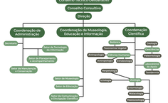 Organização do Museu de História Natural