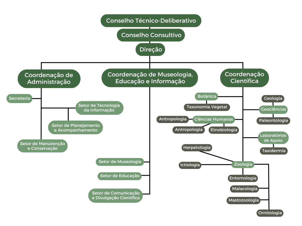 Organização do Museu de História Natural