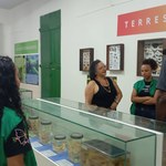 Museóloga da UEFS visita o MHN e destaca a relevância da educação museológica